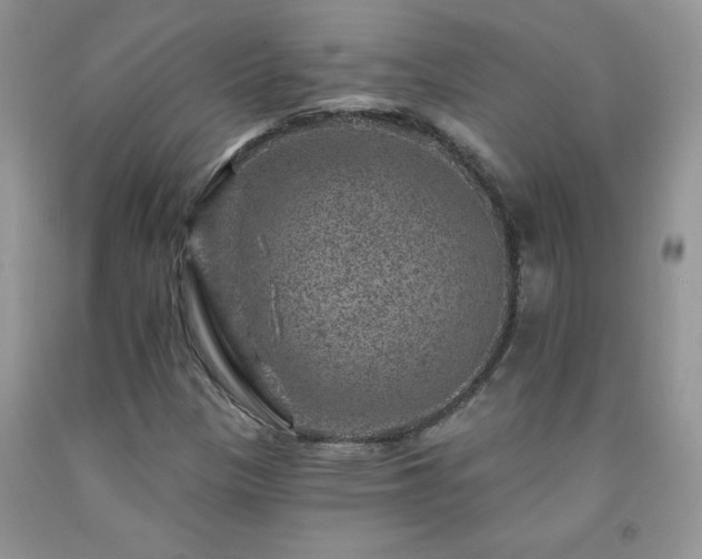 X0000092301305200709141311