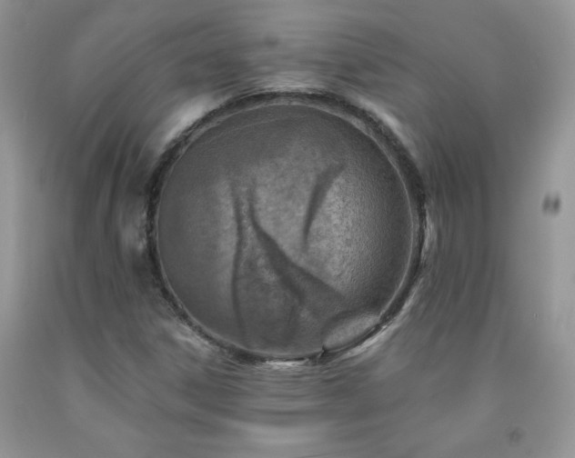 X0000092301306200709141311