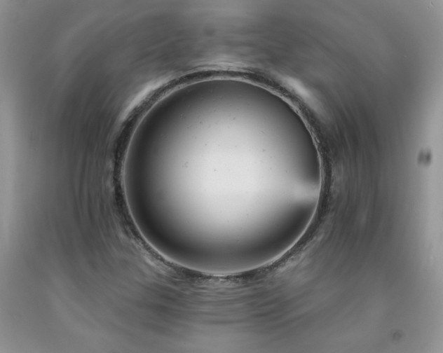 X0000092301307200709141311