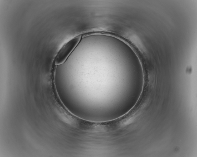 X0000092301308200709141311