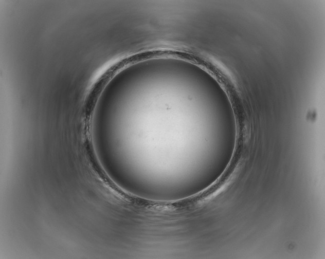 X0000092301310200709141312