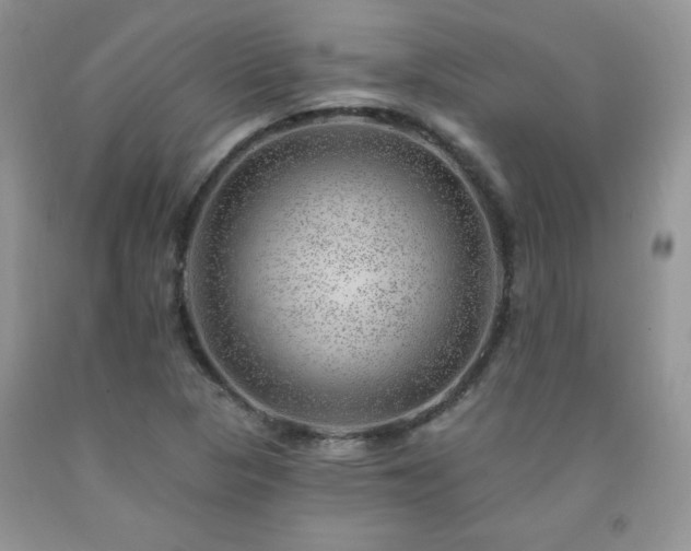 X0000092301313200709141312