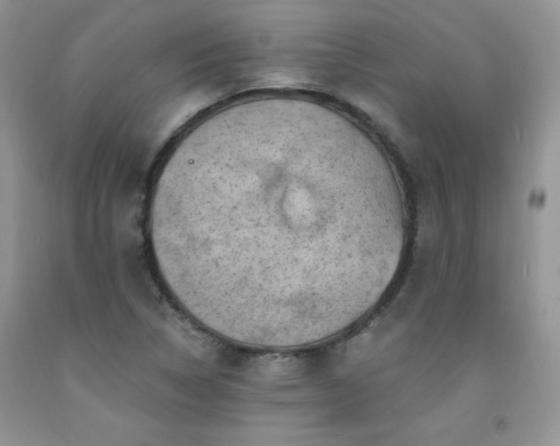 X0000092301314200709141312