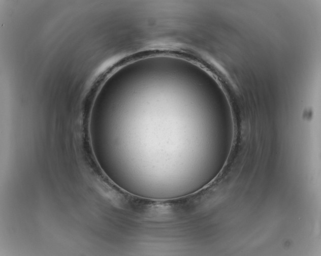 X0000092301315200709141312
