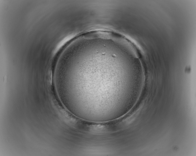 X0000092301317200709141312
