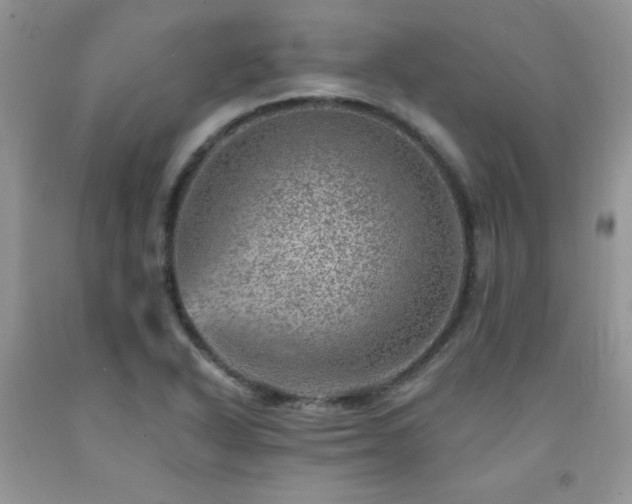 X0000092301318200709141312