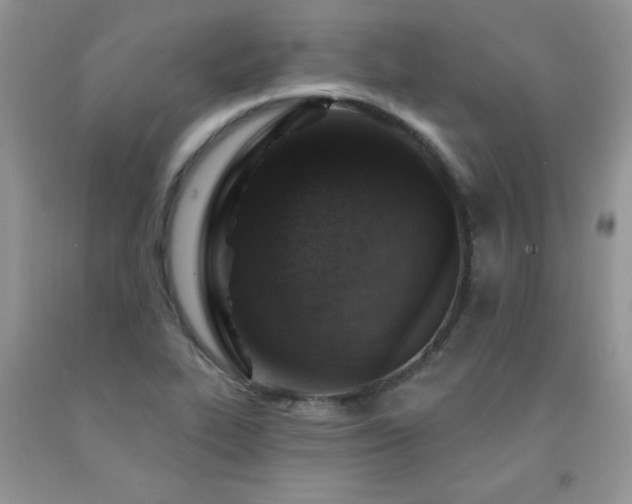 X0000092301319200709141312