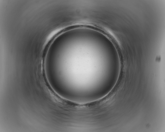 X0000092301320200709141312