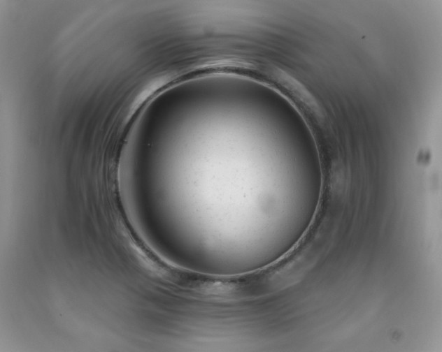 X0000092301321200709141312