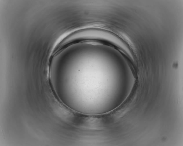 X0000092301324200709141312