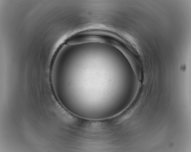 X0000092301326200709141312