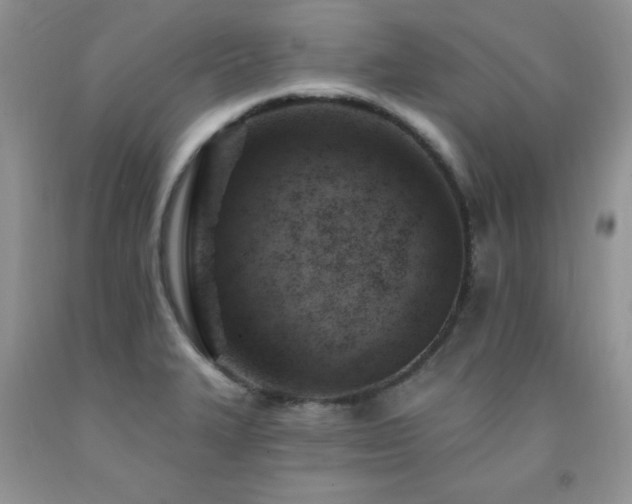 X0000092301327200709141312