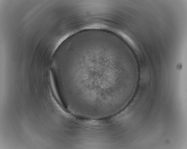 X0000092301329200709141312