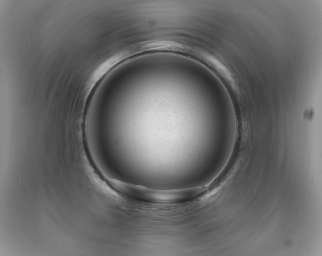 X0000092301330200709141312