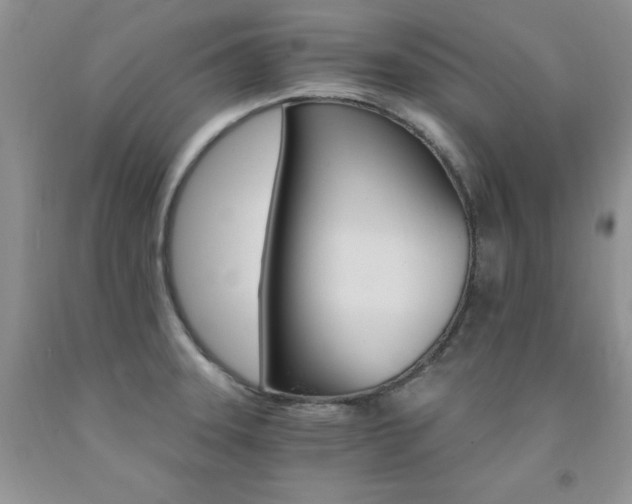 X0000092301331200709141312