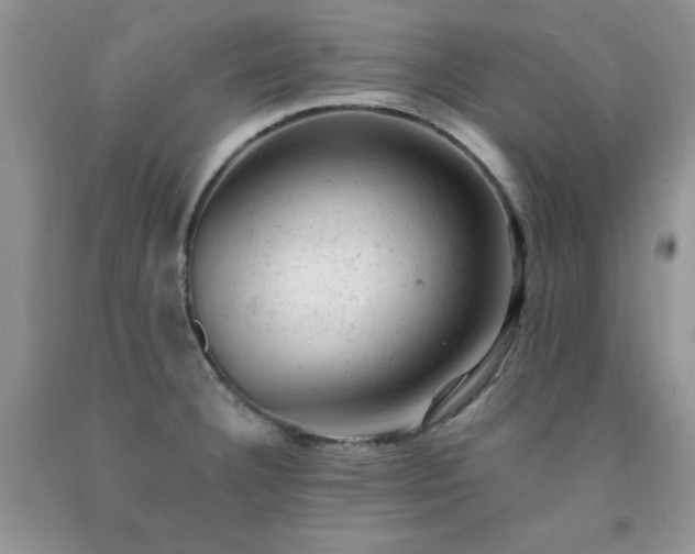 X0000092301332200709141312