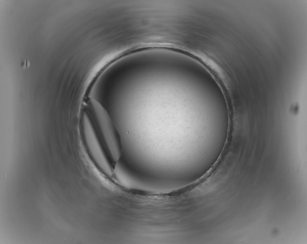 X0000092301333200709141312