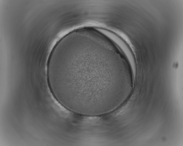 X0000092301335200709141312