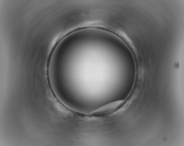 X0000092301336200709141312