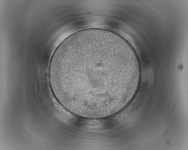 X0000092301338200709141312