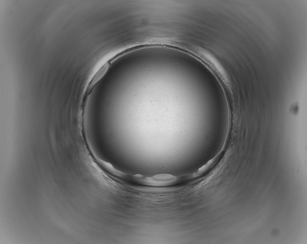 X0000092301340200709141312