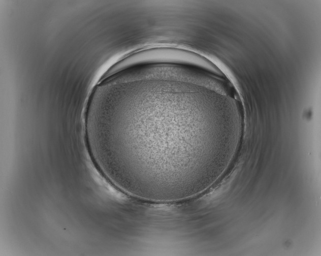 X0000092301341200709141312