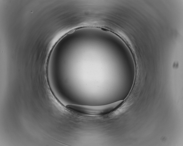 X0000092301344200709141312