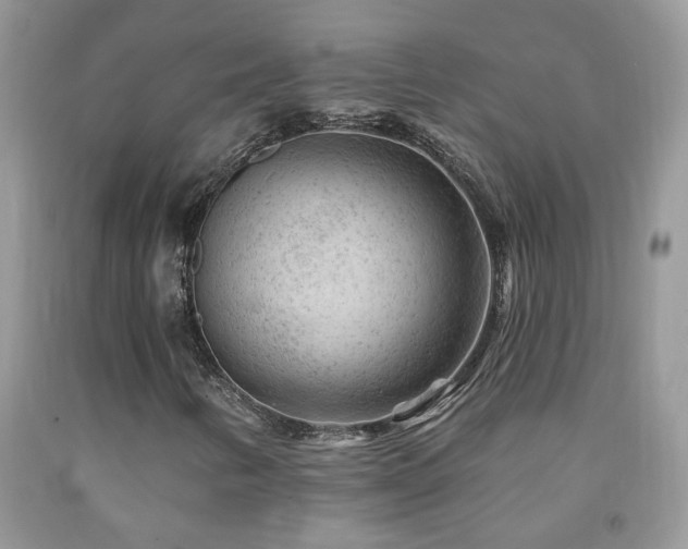 X0000092301346200709141311