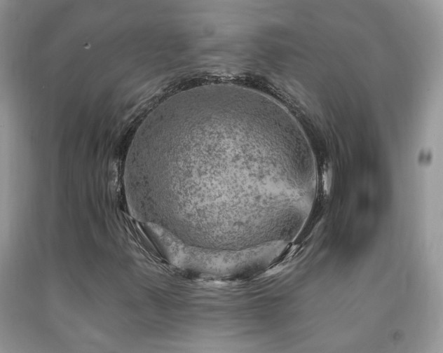 X0000092301347200709141311
