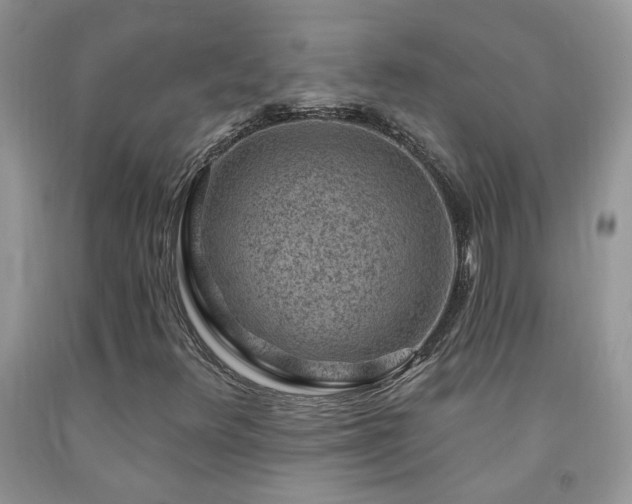 X0000092301348200709141311