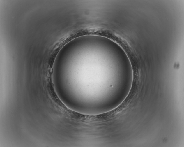 X0000092301349200709141311