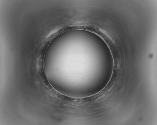 X0000092301350200709141311