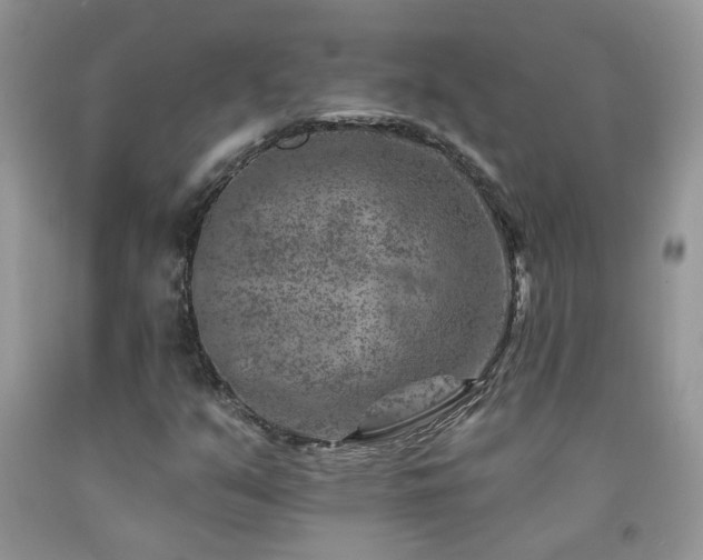 X0000092301351200709141311