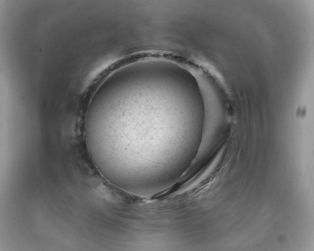 X0000092301352200709141311