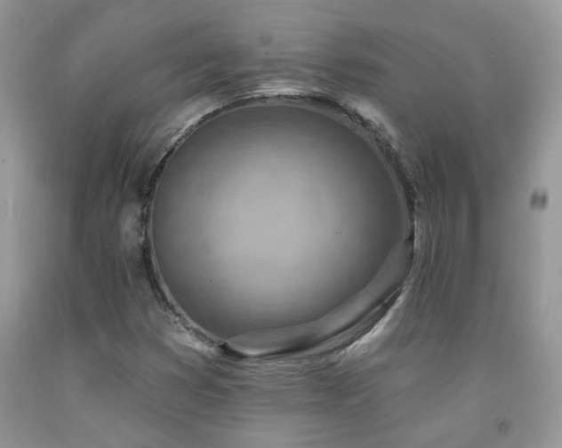 X0000092301353200709141311