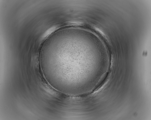 X0000092301354200709141311