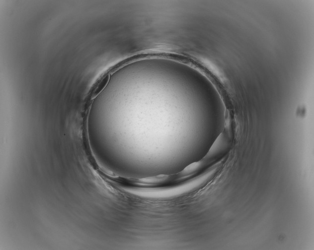 X0000092301356200709141311