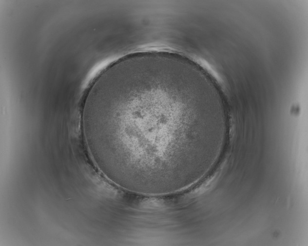 X0000092301358200709141311
