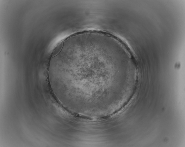 X0000092301359200709141311
