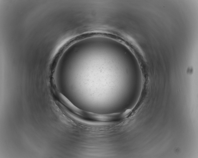 X0000092301360200709141311