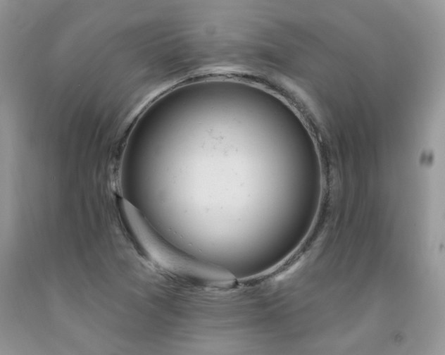X0000092301361200709141311