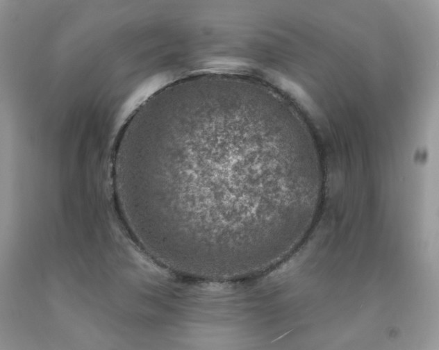 X0000092301362200709141311