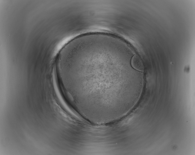 X0000092301363200709141311