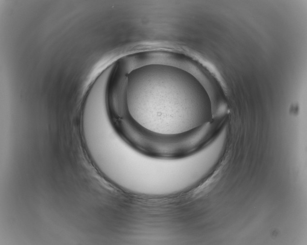 X0000092301365200709141311