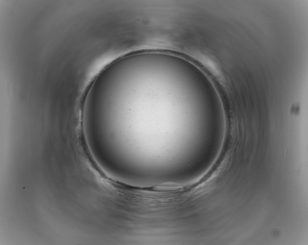 X0000092301366200709141311