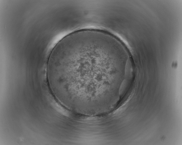 X0000092301367200709141311