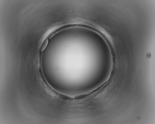 X0000092301368200709141311