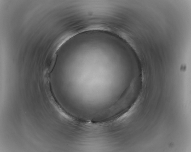 X0000092301369200709141311