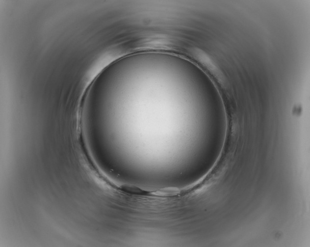 X0000092301370200709141311
