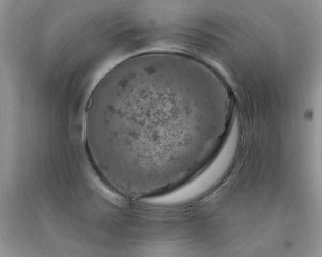 X0000092301371200709141311